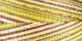 Signature 41 Cotton Variegated Colors 700yd