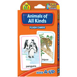 Flash Cards