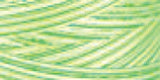 Signature 41 Cotton Variegated Colors 700yd