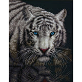 Dimensions Counted Cross Stitch Kit 11"X14"