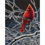 Dimensions Counted Cross Stitch Kit 11"X14"
