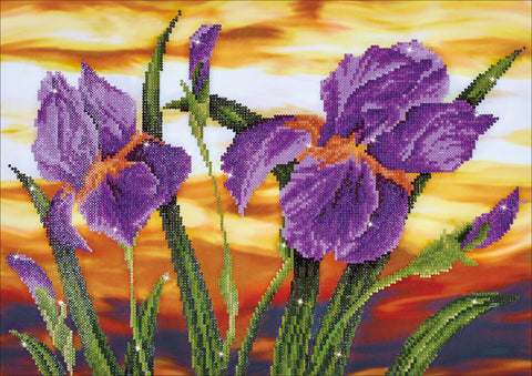 Diamond Dotz Diamond Embroidery Facet Art Kit 23.5"X17.75"