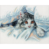 Dimensions Counted Cross Stitch Kit 10"X8"