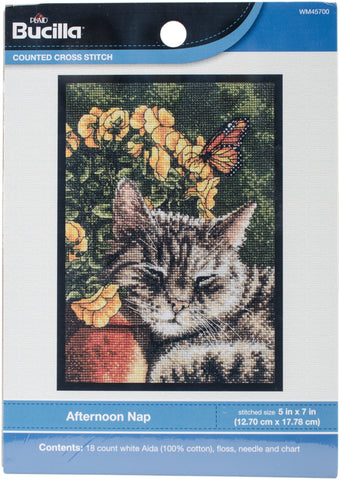 Bucilla Mini Counted Cross Stitch Kit 5"X7"