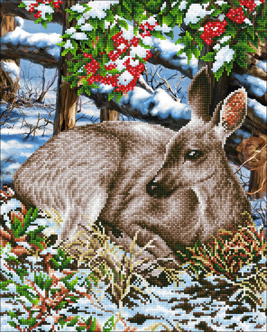 Diamond Dotz Diamond Embroidery Facet Art Kit 16.5"X20.5"