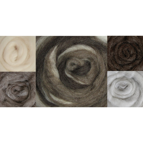 Wistyria Editions Wool Roving 12" 1.25oz