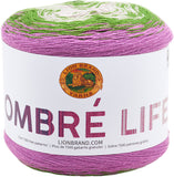 Lion Brand Ombre Life