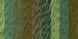 Lion Brand Yarn Ferris Wheel