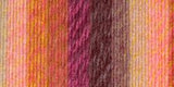 Lion Brand Yarn Ferris Wheel