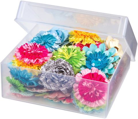ArtBin Clear View Case