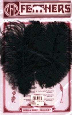 Ostrich Feathers 2/Pkg