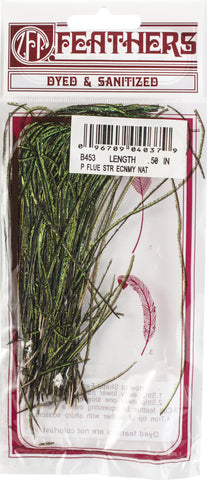Strung Peacock Flue Feathers