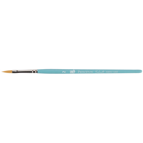 Select Bristle Brush