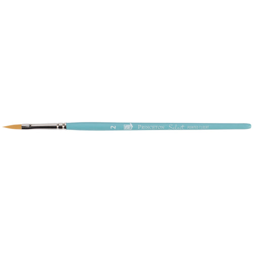 Select Bristle Brush