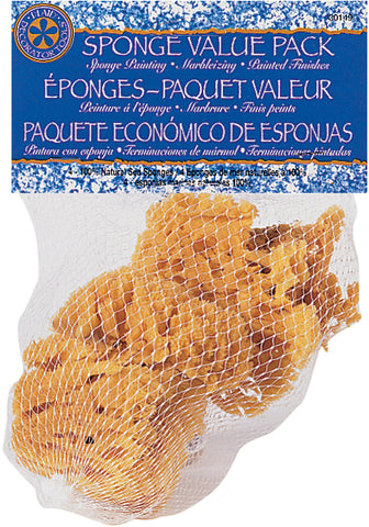 Sponge Value Pack 4/Pkg