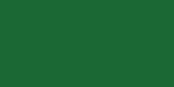 Richlin Harvest Solid Cotton Broadcloth 44"X20yd D/R