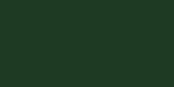 Richlin Harvest Solid Cotton Broadcloth 44"X20yd D/R