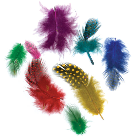 Guinea Hen Plumage Feathers .1oz