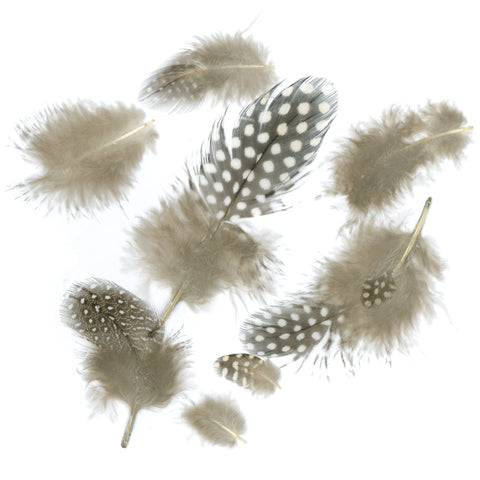 Guinea Plumage Feathers .04oz
