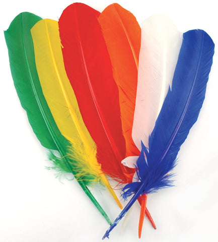 Turkey Quill Feathers 6/Pkg