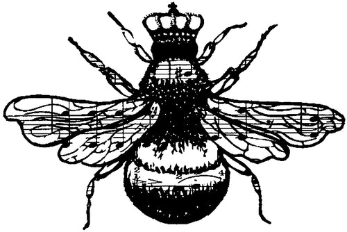 Donna Salazar Cling Stamps 4"X3"