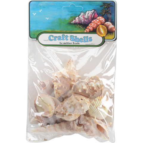 Sea Shell Mixes 10/Pkg