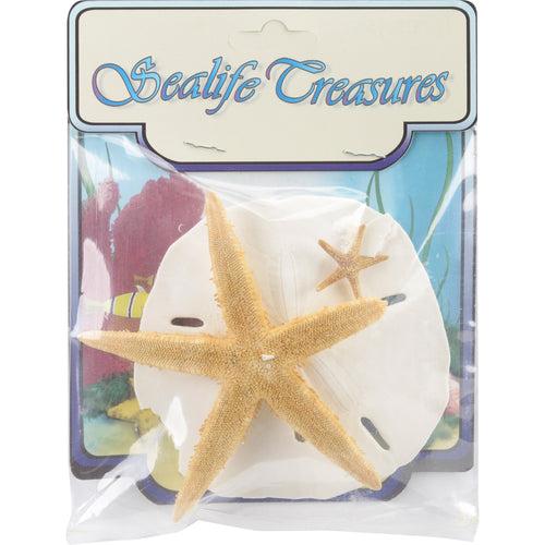 Sealife Treasures 3/Pkg