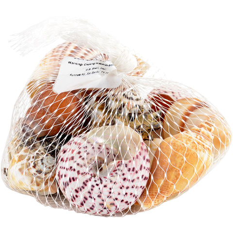 Sea Shells 8oz