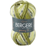 Bergere De France Goomy Yarn