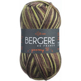 Bergere De France Goomy Yarn