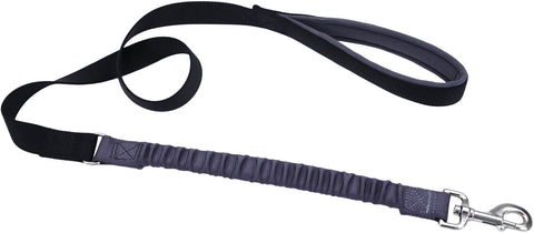 Bungee 1" Dog Leash 4'