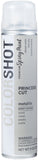 ColorShot Aerosol Metallic Spray Paint 9oz