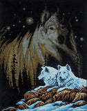 Janlynn Counted Cross Stitch Kit 11"X14"