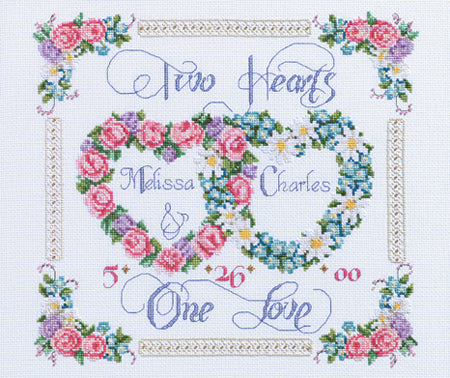 Janlynn Counted Cross Stitch Kit 14"X12"