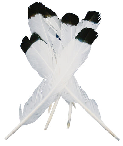 Simulated Eagle Feathers 4/Pkg