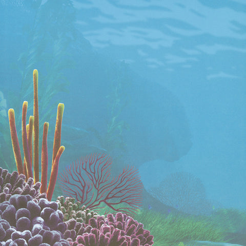 Disney Finding Nemo Paper 12"X12"