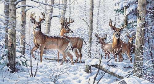Dimensions Gold Collection Counted Cross Stitch Kit 18"X10"