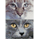 Thea Gouverneur Counted Cross Stitch Kit 6.75"X4.75"