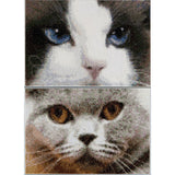 Thea Gouverneur Counted Cross Stitch Kit 6.75"X4.75"