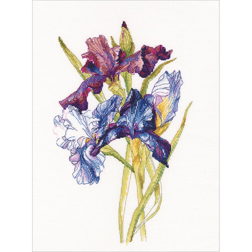 RTO Counted Cross Stitch Kit 10.5"X14.25"