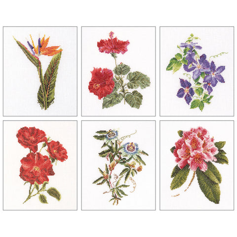 Thea Gouverneur Counted Cross Stitch Kit 6.75"X8" 6/Pkg