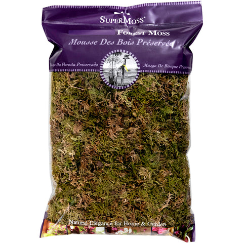 Super Moss Forest Moss Dried 8oz