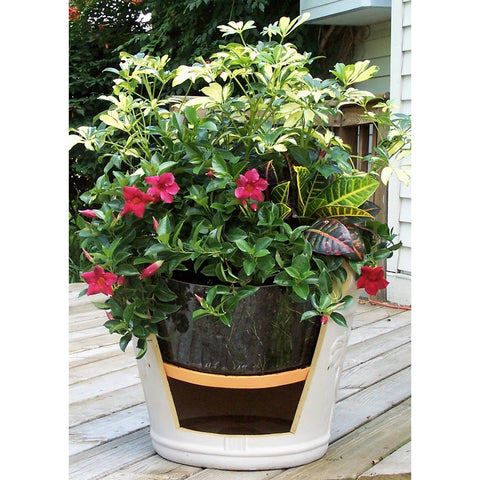 Ups-A-Daisy Round Planter Insert 12"