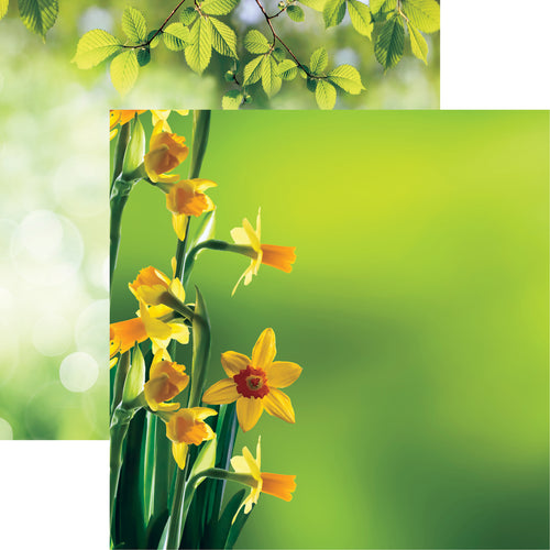 Hello Spring Double-Sided Cardstock 12"X12"