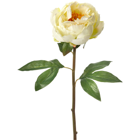 Prize Peony Stem 22"