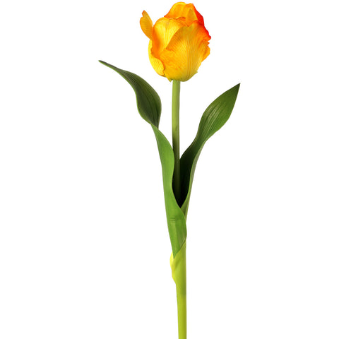 Casa Tropicana Tulip 17"