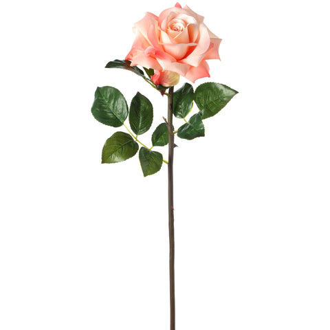 Caledonia Rose 26"