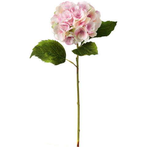 Hydrangea Stem 19"