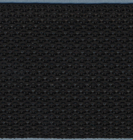 Simplicity Webbing 2"X10yd