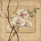 Dimensions Counted Cross Stitch Kit 12"X12"